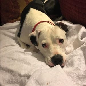 Hey you! Yes you ! Almost Spring SALE!  - going going gone!